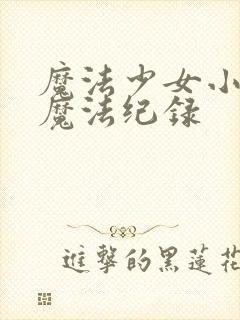魔法少女小圆之魔法纪录