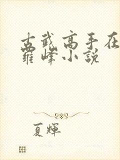 古武高手在都市罗峰小说