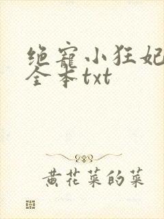 绝宠小狂妃下载全本txt