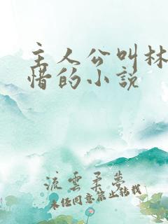 主人公叫林凡叶惜的小说