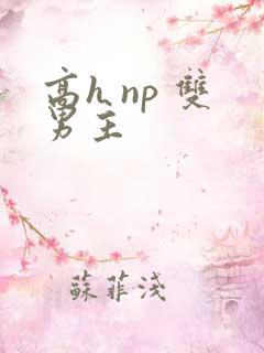高h np 双男主