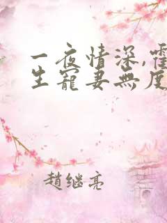 一夜情深,霍先生宠妻无度小说最新