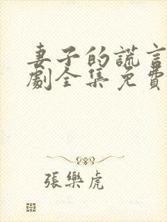 妻子的谎言电视剧全集免费完整