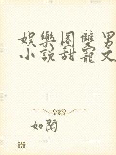 娱乐圈双男主的小说甜宠文推荐