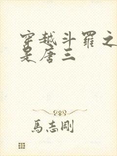 穿越斗罗之我弟是唐三