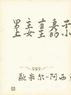 男主有妻子却爱上女主的小说