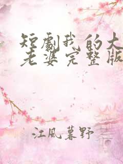 短剧我的大小姐老婆完整版简介