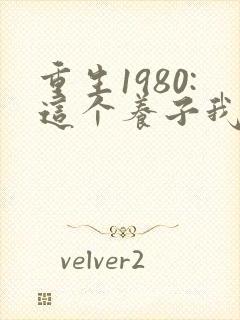 重生1980:这个养子我不当了在线看