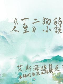 《丁二狗的逍遥人生》小说