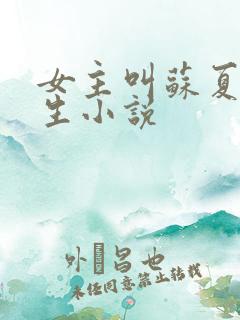 女主叫苏夏的重生小说