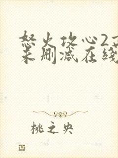 怒火攻心2高清未删减在线观看