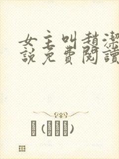 女主叫赵洁的小说免费阅读