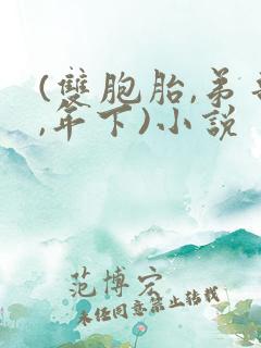 (双胞胎,弟哥,年下)小说