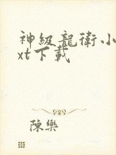 神级龙卫小说txt下载