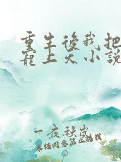 重生后我把丈夫宠上天小说