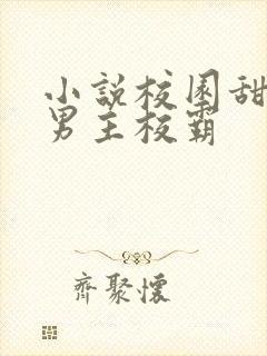 小说校园甜宠文男主校霸