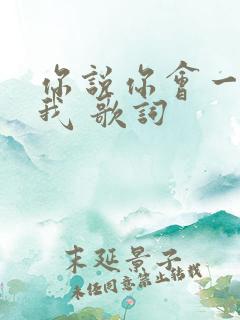 你说你会一直爱我 歌词