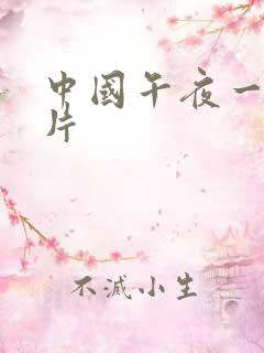 中国午夜一级淫片