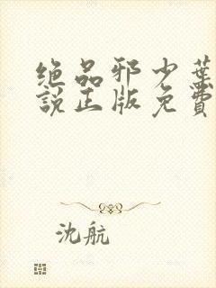 绝品邪少叶潇小说正版免费