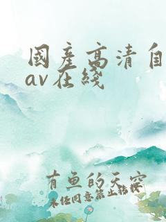 国产高清自产拍av在线