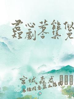 君心若能似我心短剧合集免费