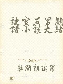 被室友男朋友认错小说大结局