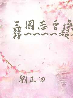 三国志曹操传秘籍~~~~超全