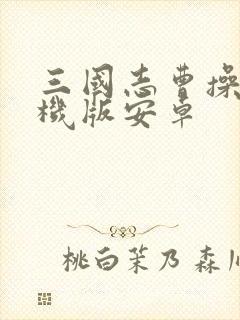 三国志曹操传手机版安卓