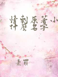 情刺原著小说叫什么名字