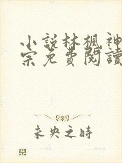 小说林枫神霄剑宗免费阅读