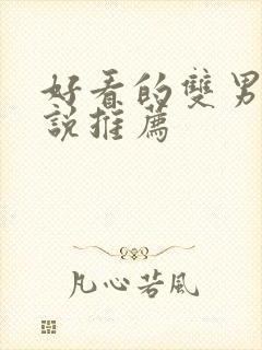 好看的双男主小说推荐