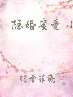 隐婚蜜爱 小说