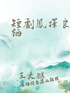 短剧凤择良木而栖