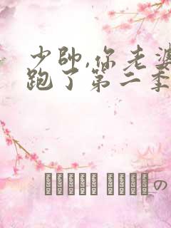 少帅,你老婆又跑了第二季