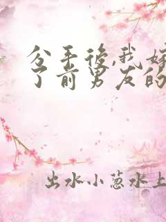 分手后,我嫁给了前男友的小叔小说小说