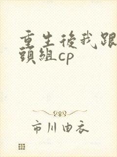 重生后我跟死对头组cp