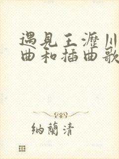 遇见王沥川主题曲和插曲歌词