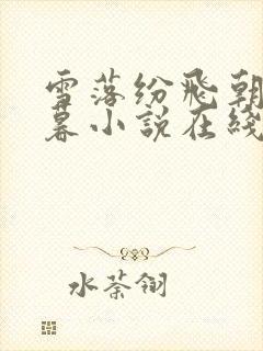 雪落纷飞朝朝暮暮小说在线阅读