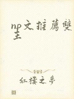 np文推荐双男主