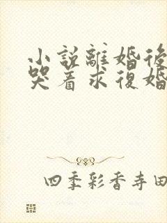 小说离婚后前夫哭着求复婚最新章节列表