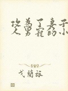 攻为了妻子当别人男宠的小说