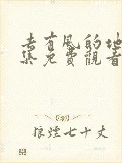 去有风的地方全集免费观看电视剧