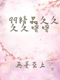 99精品久久久久久噜噜