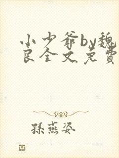 小少爷by魏丛良全文免费阅读