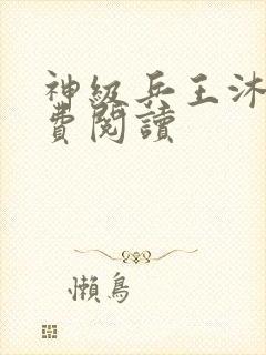 神级兵王沐风免费阅读