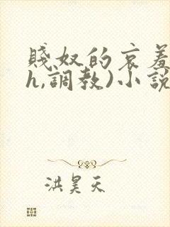 贱奴的哀羞(高h,调教)小说