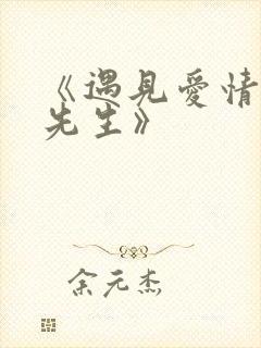 《遇见爱情的利先生》