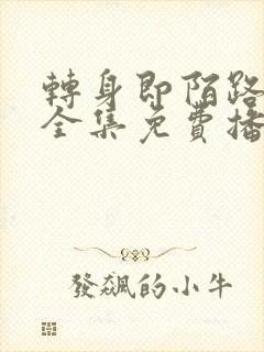 转身即陌路短剧全集免费播放下载