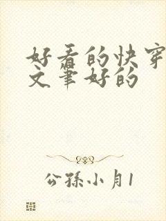 好看的快穿文要文笔好的