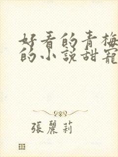 好看的青梅竹马的小说甜宠文